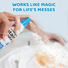 Load image into Gallery viewer, Stain Treater Spray