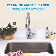 Load image into Gallery viewer, Stain Treater Spray