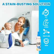 Load image into Gallery viewer, Stain Treater Spray
