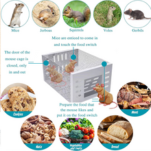 Load image into Gallery viewer, Eaglever Stainless Steel Automatic Mousetrap