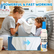 Load image into Gallery viewer, Stain Treater Spray