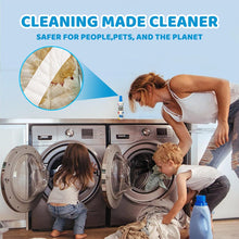 Load image into Gallery viewer, Stain Treater Spray