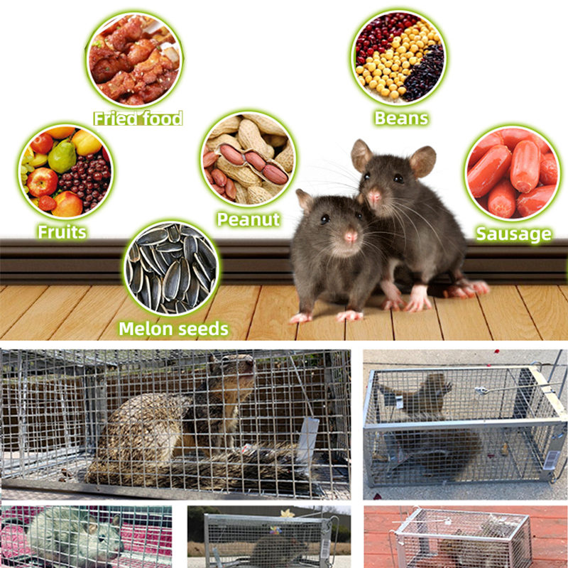 Eaglever Stainless Steel Automatic Mousetrap