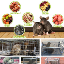 Load image into Gallery viewer, Eaglever Stainless Steel Automatic Mousetrap