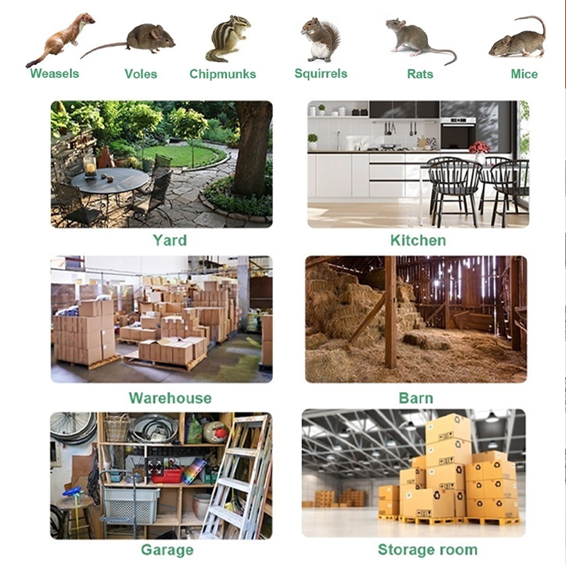 Eaglever Stainless Steel Automatic Mousetrap