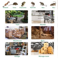 Load image into Gallery viewer, Eaglever Stainless Steel Automatic Mousetrap